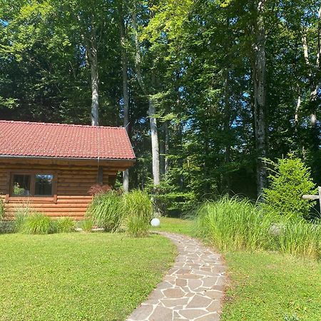 Huette Am Wald Villa Hof bei Salzburg Kültér fotó
