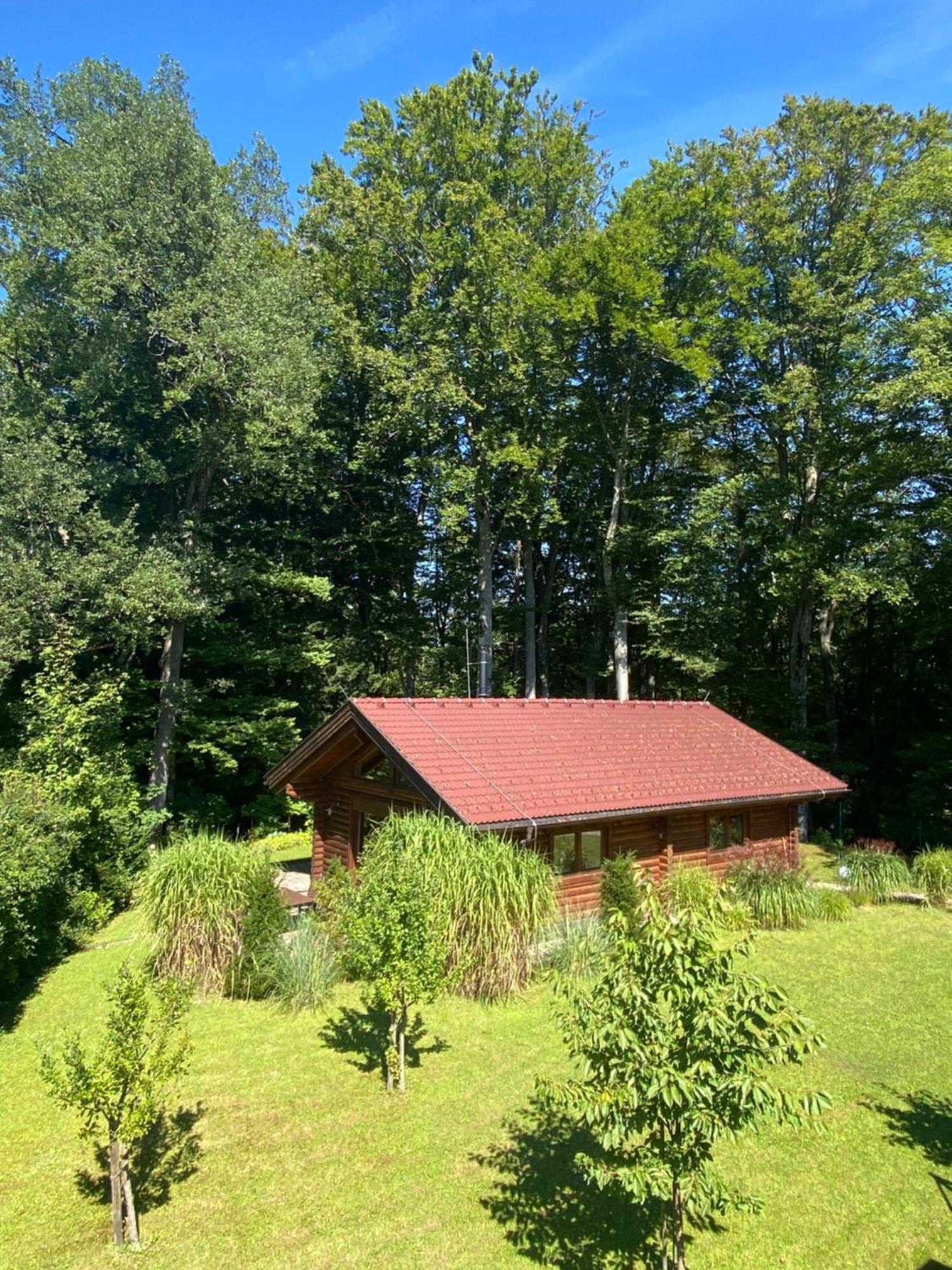 Huette Am Wald Villa Hof bei Salzburg Kültér fotó