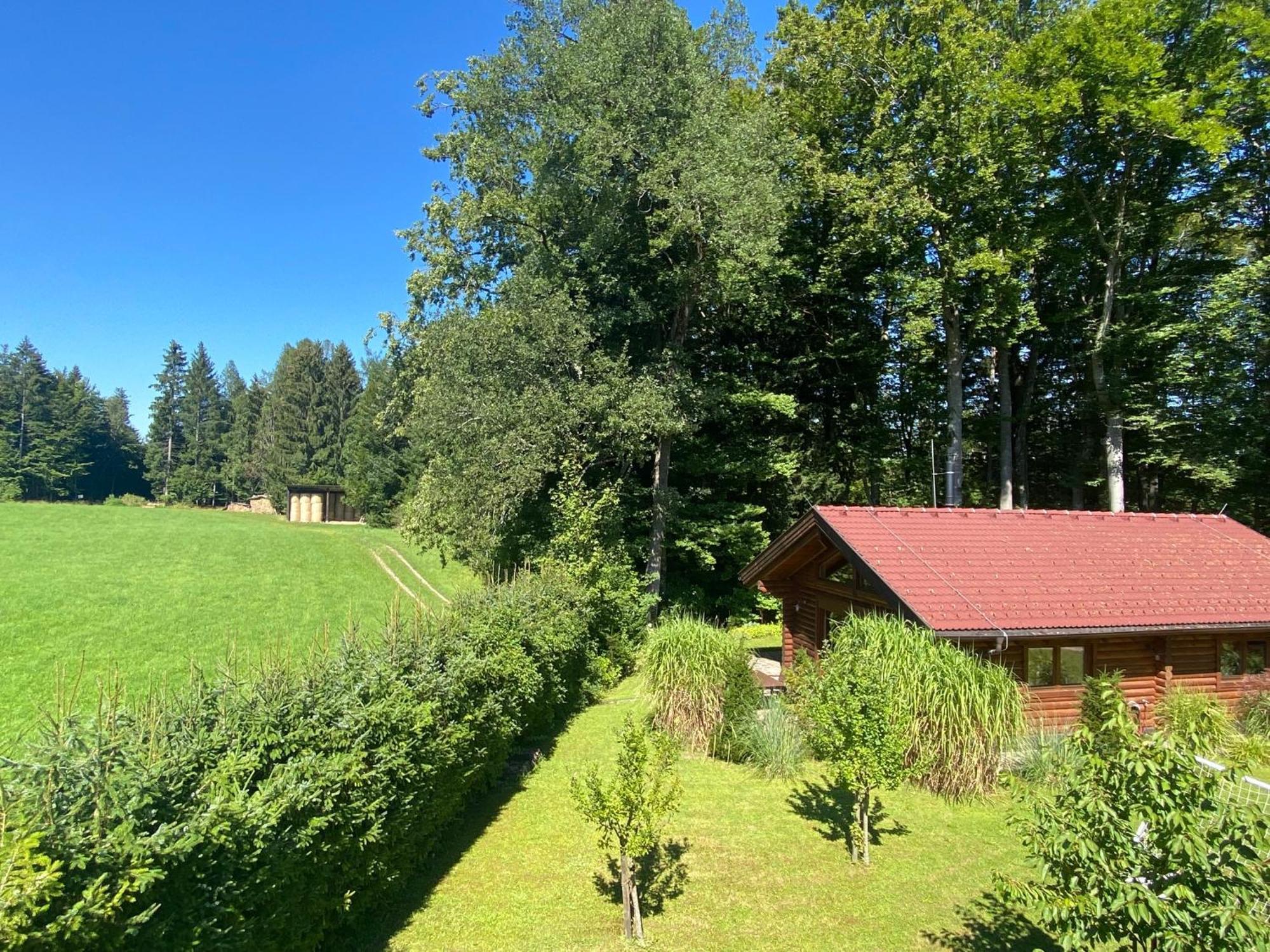Huette Am Wald Villa Hof bei Salzburg Kültér fotó